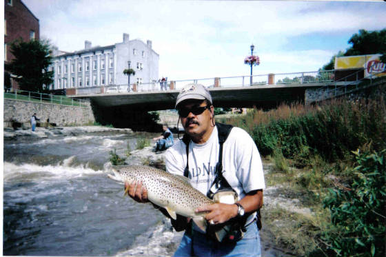 gannybrown.jpg