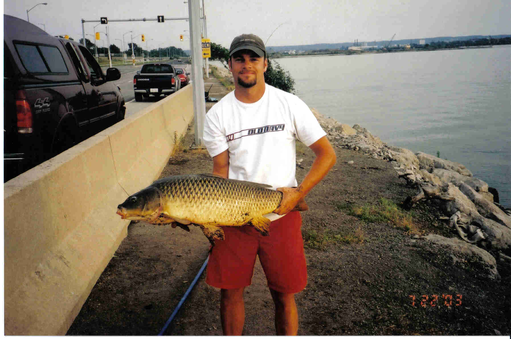 mrkcarp.jpg
